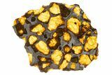 Polished Imilac Pallasite Meteorite ( g) Slice #334647-1